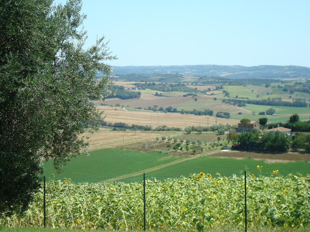 Podere Fontegallo Castiglione del Lago Bagian luar foto