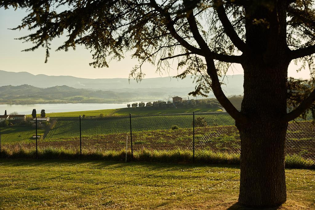 Podere Fontegallo Castiglione del Lago Bagian luar foto