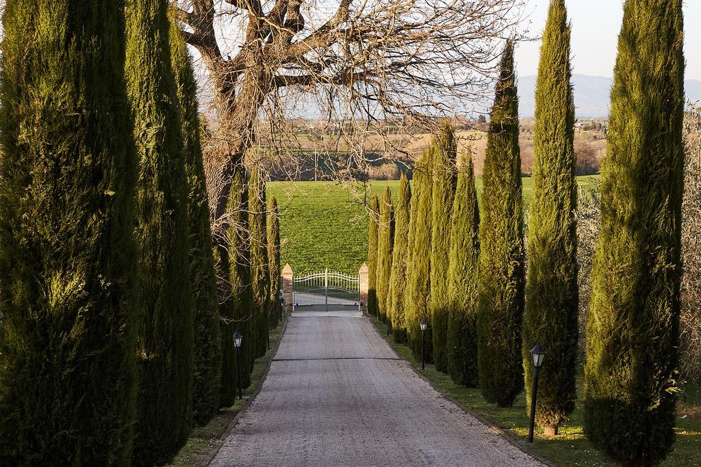 Podere Fontegallo Castiglione del Lago Bagian luar foto