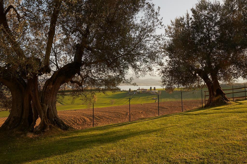 Podere Fontegallo Castiglione del Lago Bagian luar foto