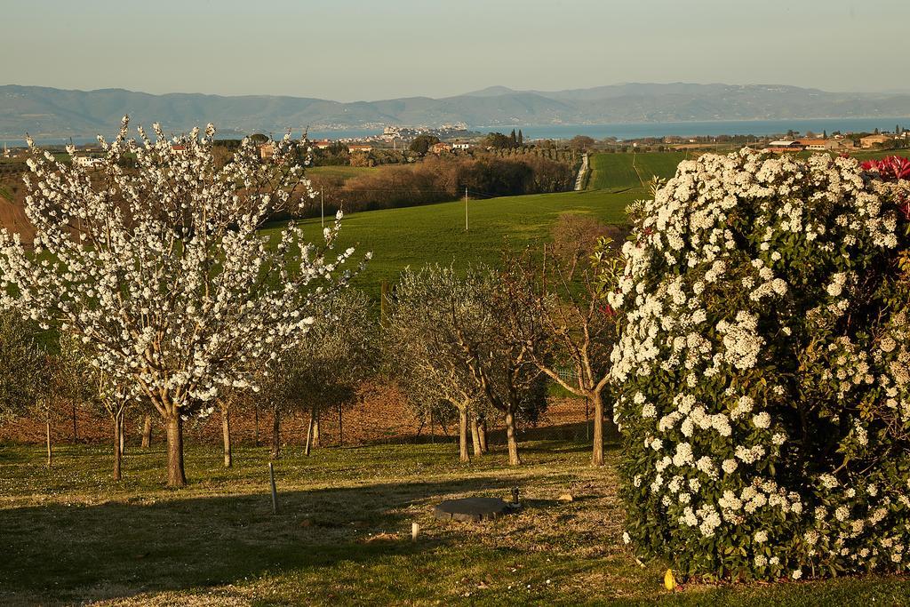 Podere Fontegallo Castiglione del Lago Bagian luar foto