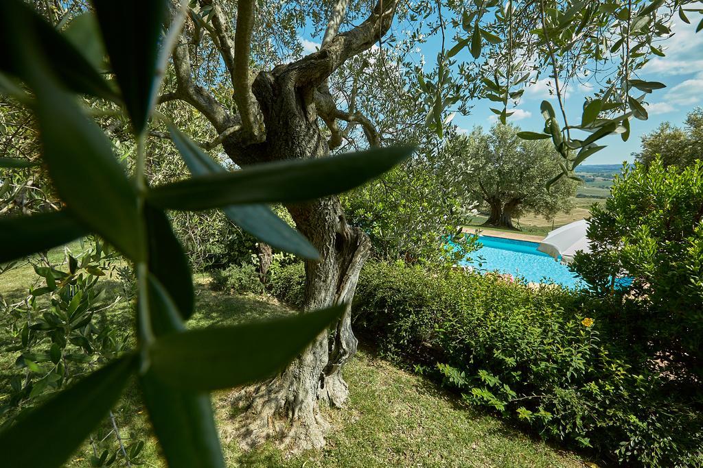 Podere Fontegallo Castiglione del Lago Bagian luar foto