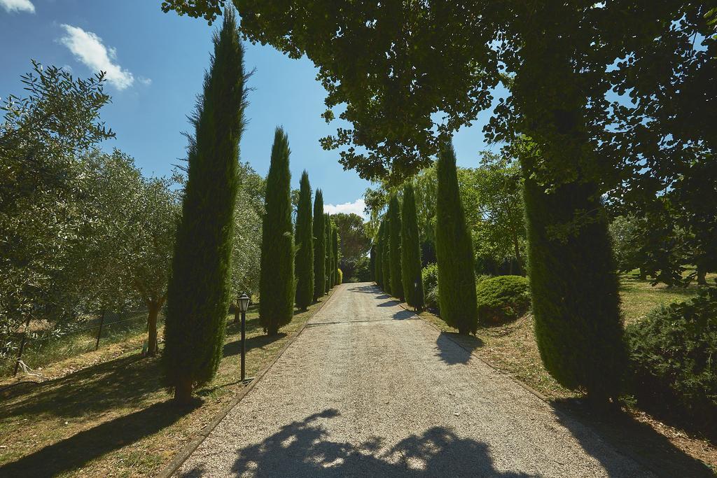 Podere Fontegallo Castiglione del Lago Bagian luar foto